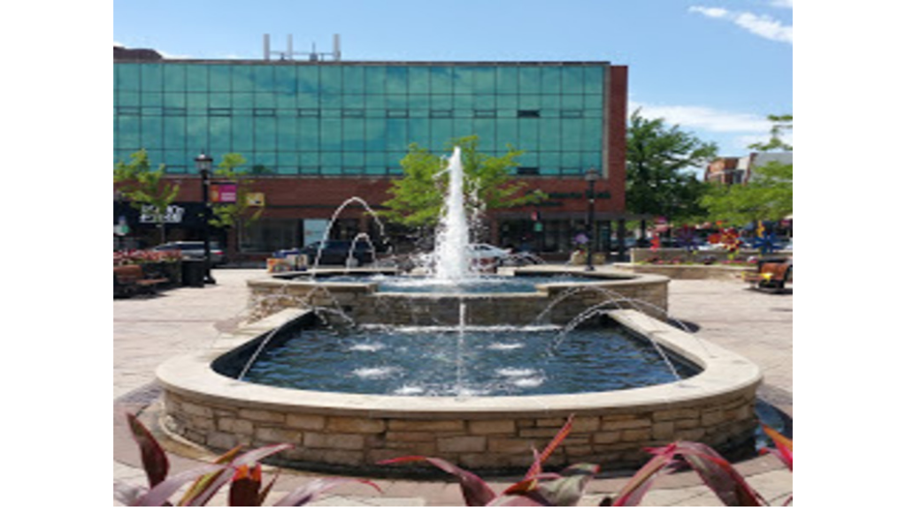 Civil Litigation Lawyer in Illinois, USA
